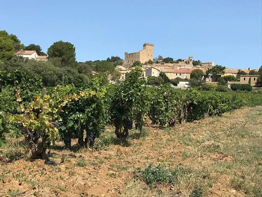 Gites En B&B Le Clos De La Cerise Châteauneuf-du-Pape Apartment